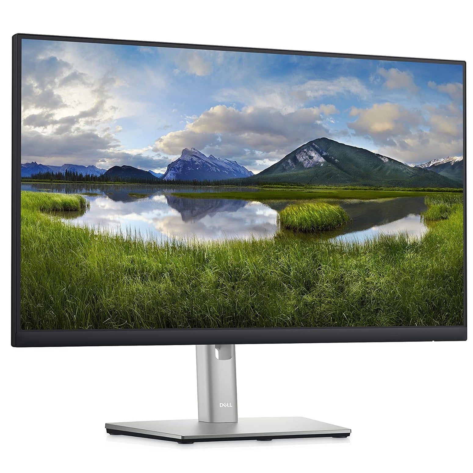 Dell P2422HE 24" Flat Panel Monitor (Platinum)