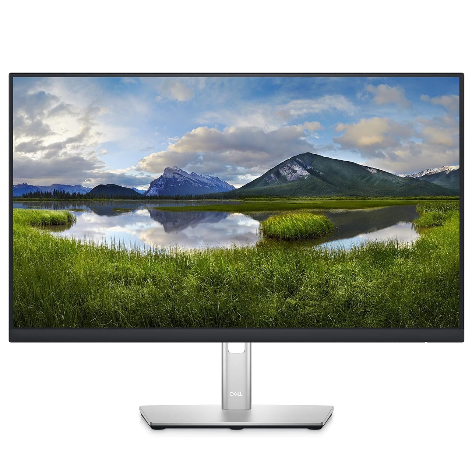 Dell P2422HE 24" Flat Panel Monitor (Platinum)