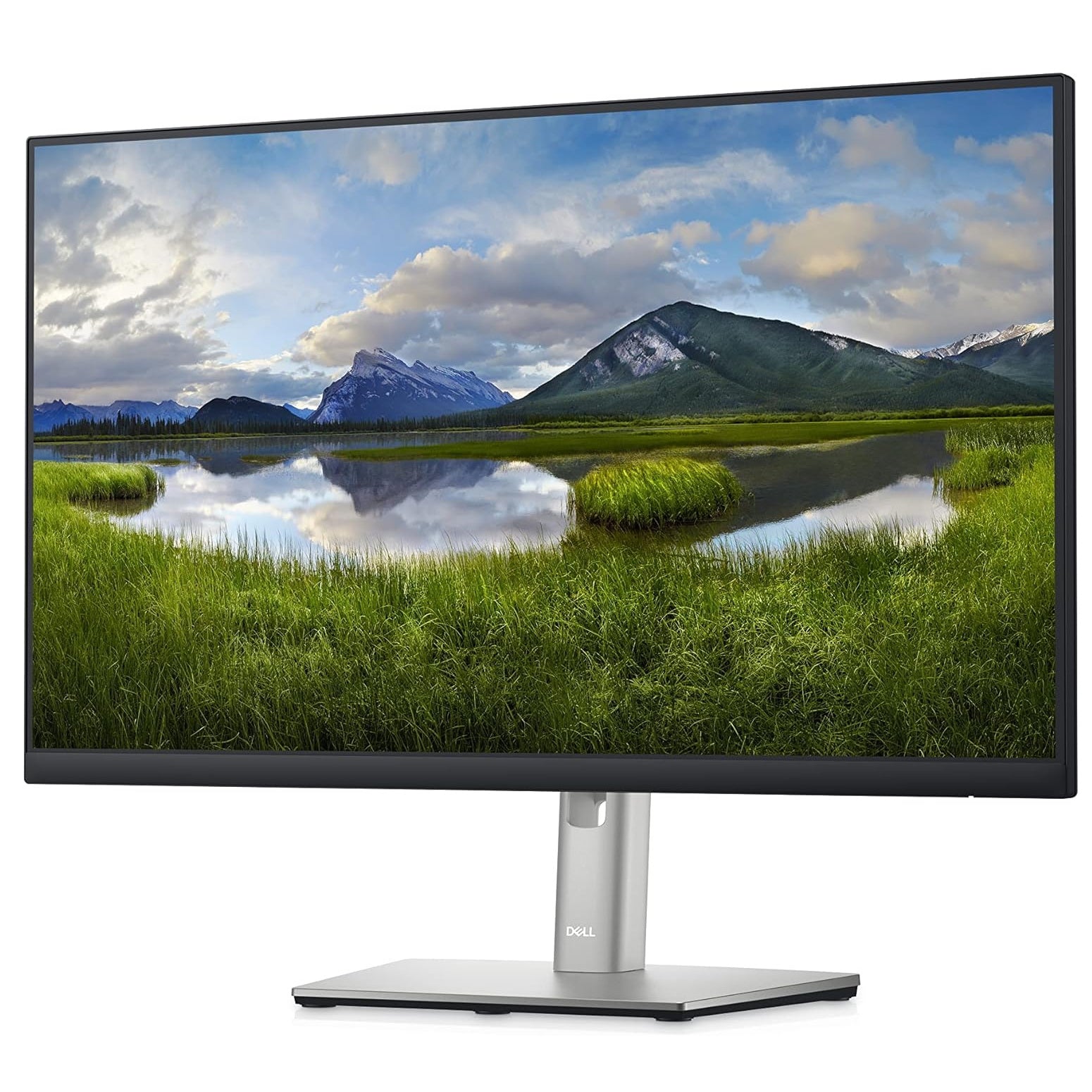 Dell P2422HE 24" Flat Panel Monitor (Platinum)