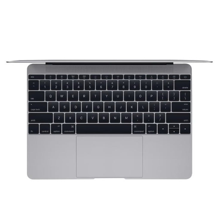 Apple MacBook 10,1 2013 (Silver)